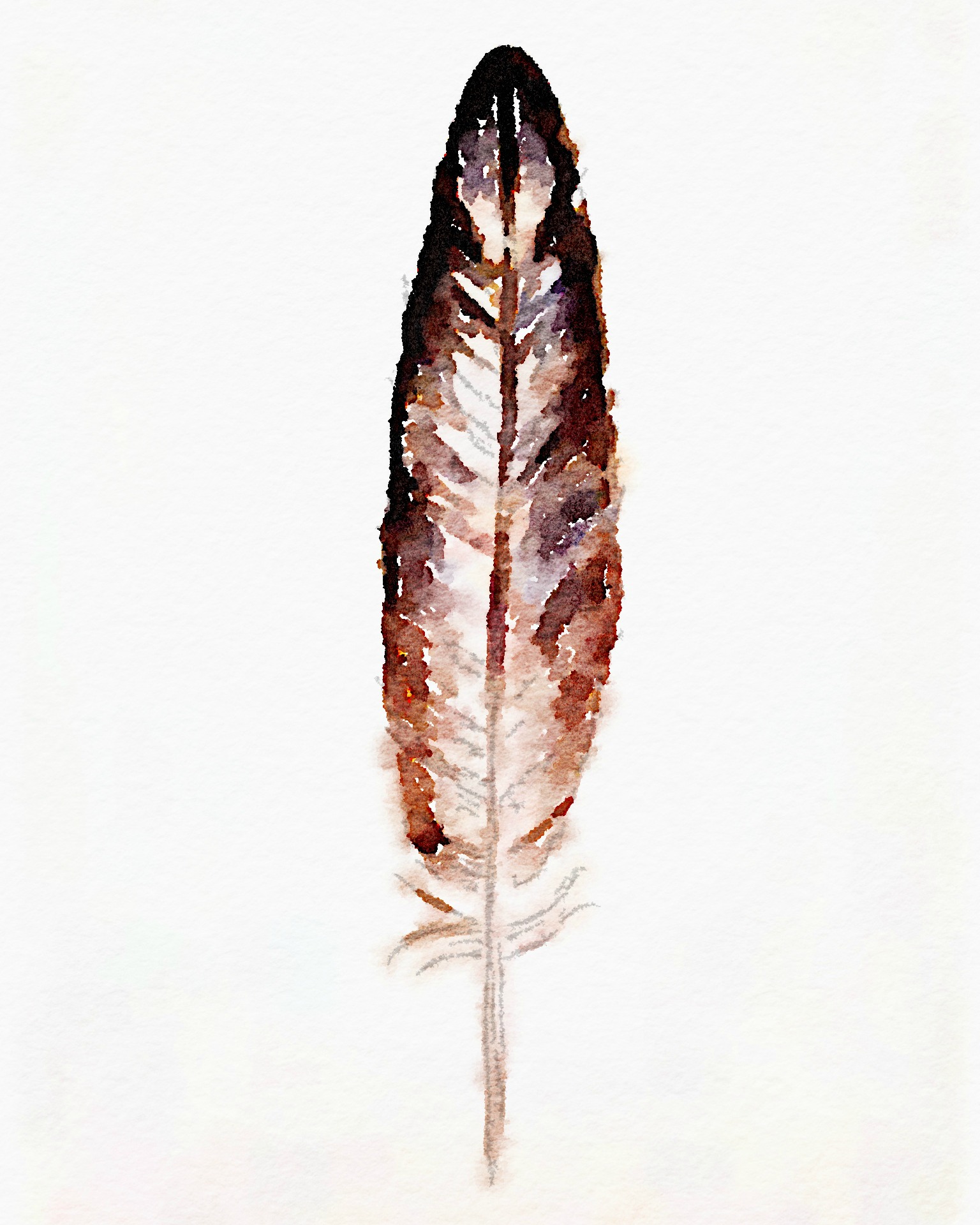 1536x1920 Watercolor Feather Free Printable Art - Feather Painting