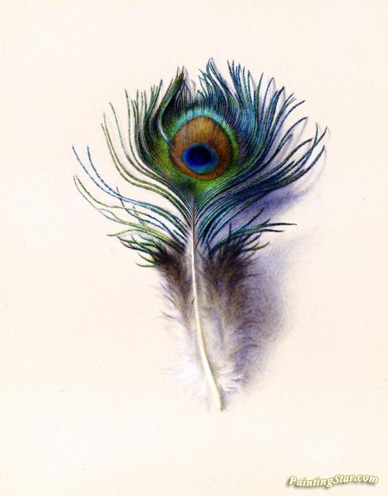 563x720 Peacock Feather Artwork By Charles Herbert Moore Oil Painting - Feather Painting Art