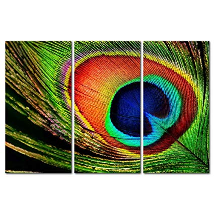 425x425 3 Pieces Modern Canvas Painting Wall Art The Picture - Feather Painting Art