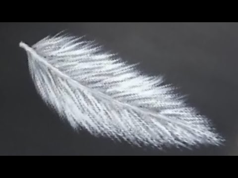 480x360 Painting A Feather With Acrylics - Feather Painting On Canvas
