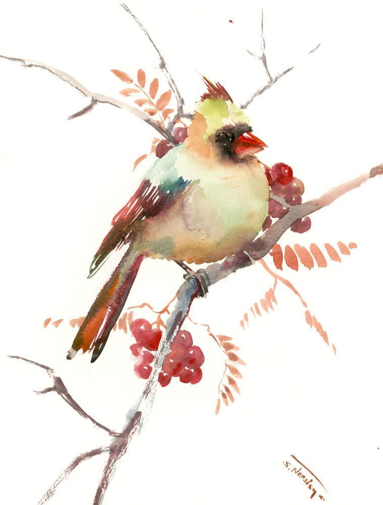 759x1000 Female Cardinal Bird And Berries, Artwork, One Of Akind, Original - Female Cardinal Painting