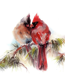 259x300 Female Cardinal Paintings - Female Cardinal Painting