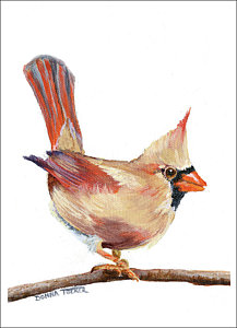 217x300 Female Cardinal Paintings - Female Cardinal Painting