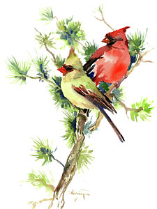 225x300 Female Cardinal Paintings Fine Art America - Female Cardinal Painting