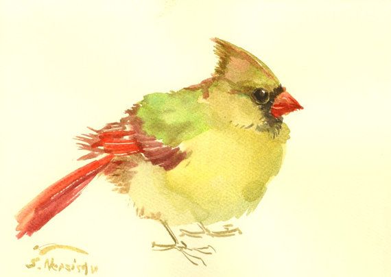 570x404 Female Cardinal Painting Small Watercolor Original By Originalonly - Female Cardinal Painting