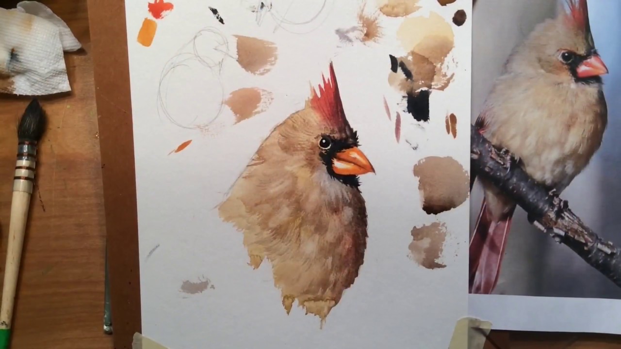 1280x720 Painting A Female Cardinal By Ken Hobson - Female Cardinal Painting