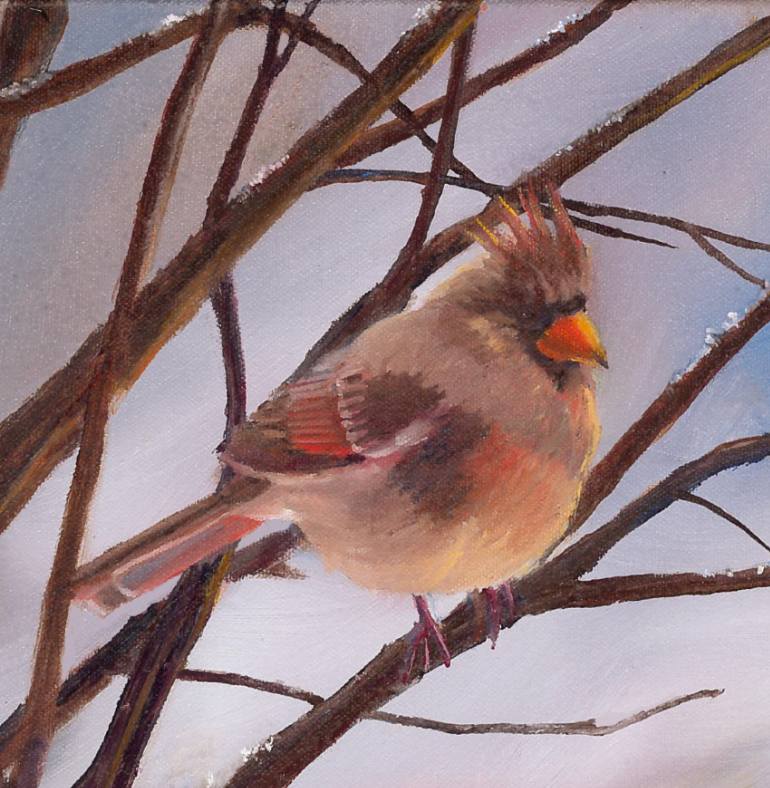 770x788 Saatchi Art Female Cardinal Painting By Sheri Waldrop - Female Cardinal Painting