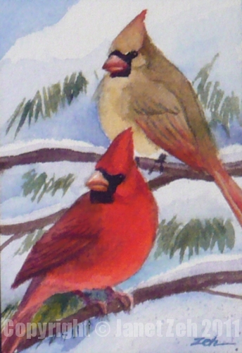 344x500 Zeh Original Art Blog Watercolor And Oil Paintings Northern - Female Cardinal Painting