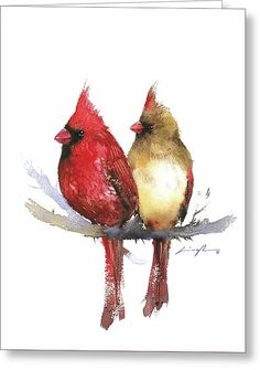 236x335 Cardinals Paintings Ideas! Oh When To Do Cardinals - Female Cardinal Painting