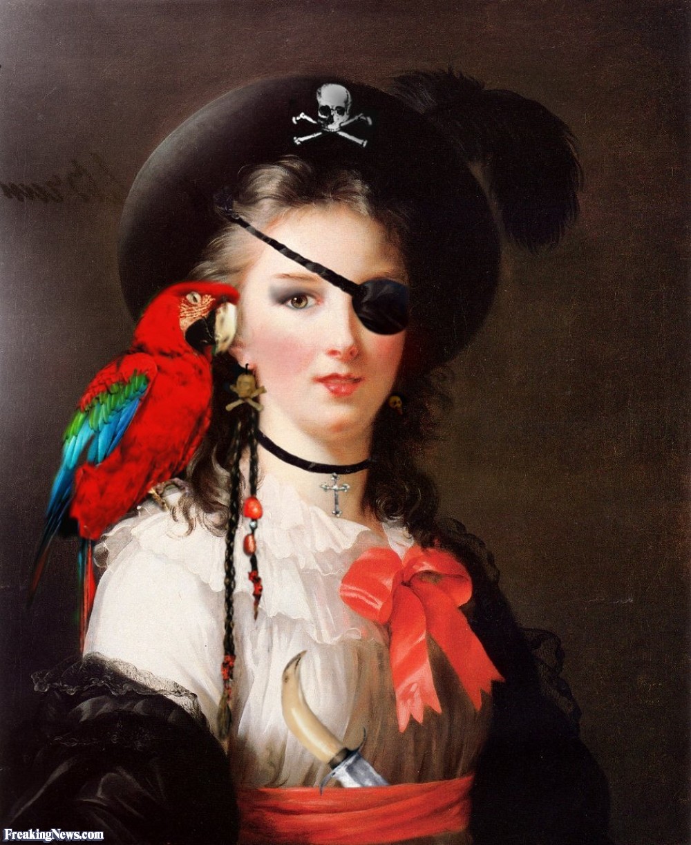 1000x1223 Pirate Lady With Her Parrot Painting Pictures - Female Pirate Painting