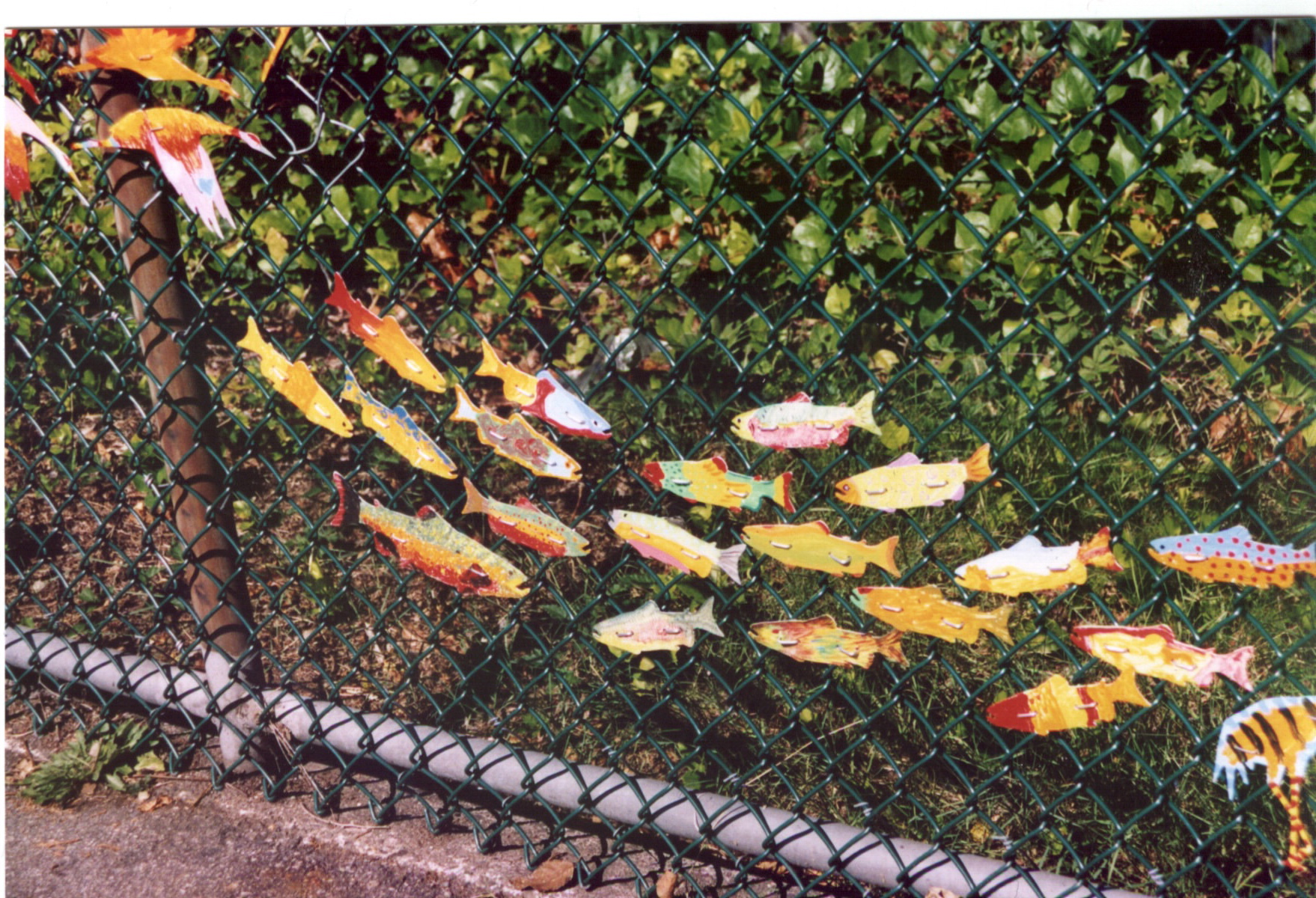 1758x1200 Plywood, Or Chloroplast, Plastic Cardboard, Images On Chain Link - Fence Art Painting