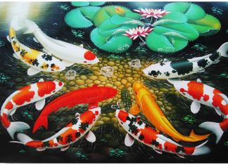 Feng Shui Fish Painting at PaintingValley.com | Explore collection of ...