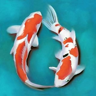 320x320 Online Feng Shui Koi Fish Painting (Cp19302424) Prices - Feng Shui Fish Painting