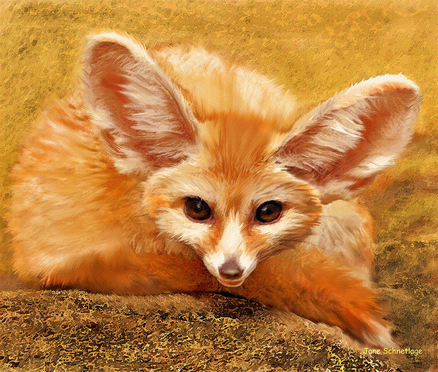 900x764 Fennec Fox Digital Art By Jane Schnetlage - Fennec Fox Painting
