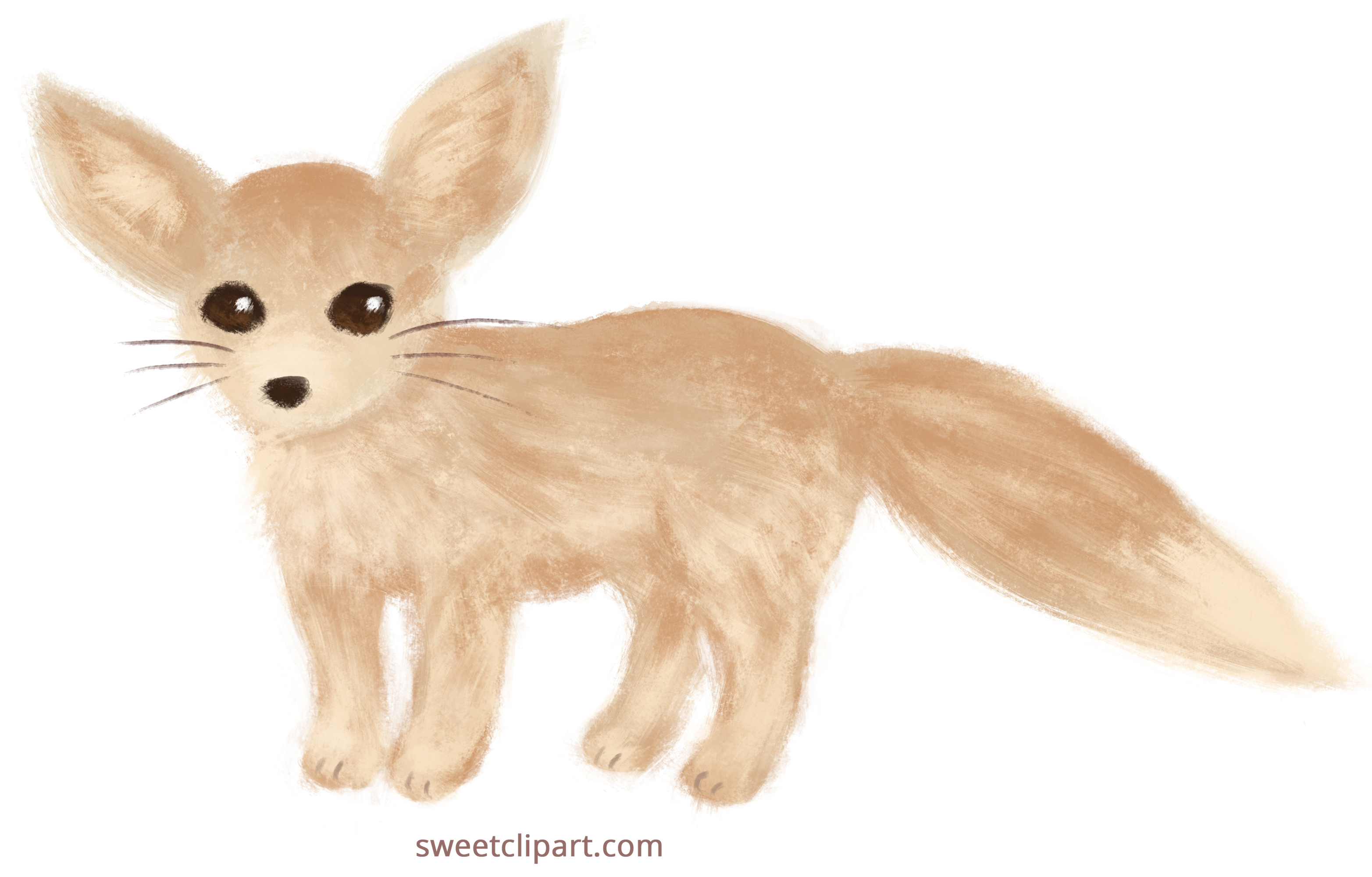 3129x2000 Fennec Fox Painted Clip Art - Fennec Fox Painting
