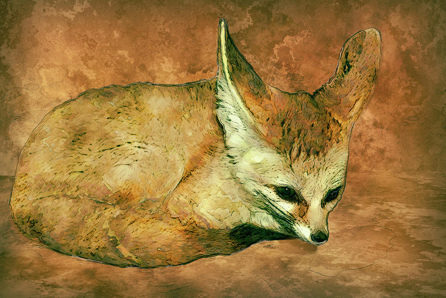 900x602 Fennec Fox Painting By Jack Zulli - Fennec Fox Painting
