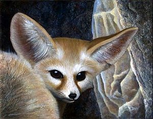 300x234 Fennec Fox Paintings Fine Art America - Fennec Fox Painting