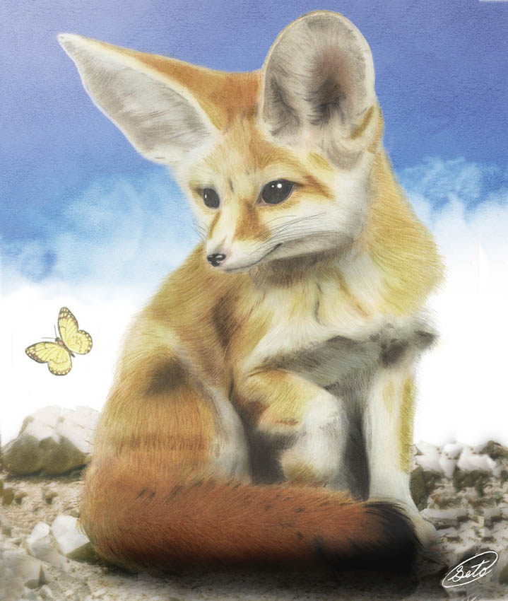 719x850 Fennec Fox By Sheltiewolf - Fennec Fox Painting
