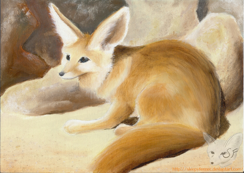 800x567 Fennec Fox By Sleepyfennec - Fennec Fox Painting