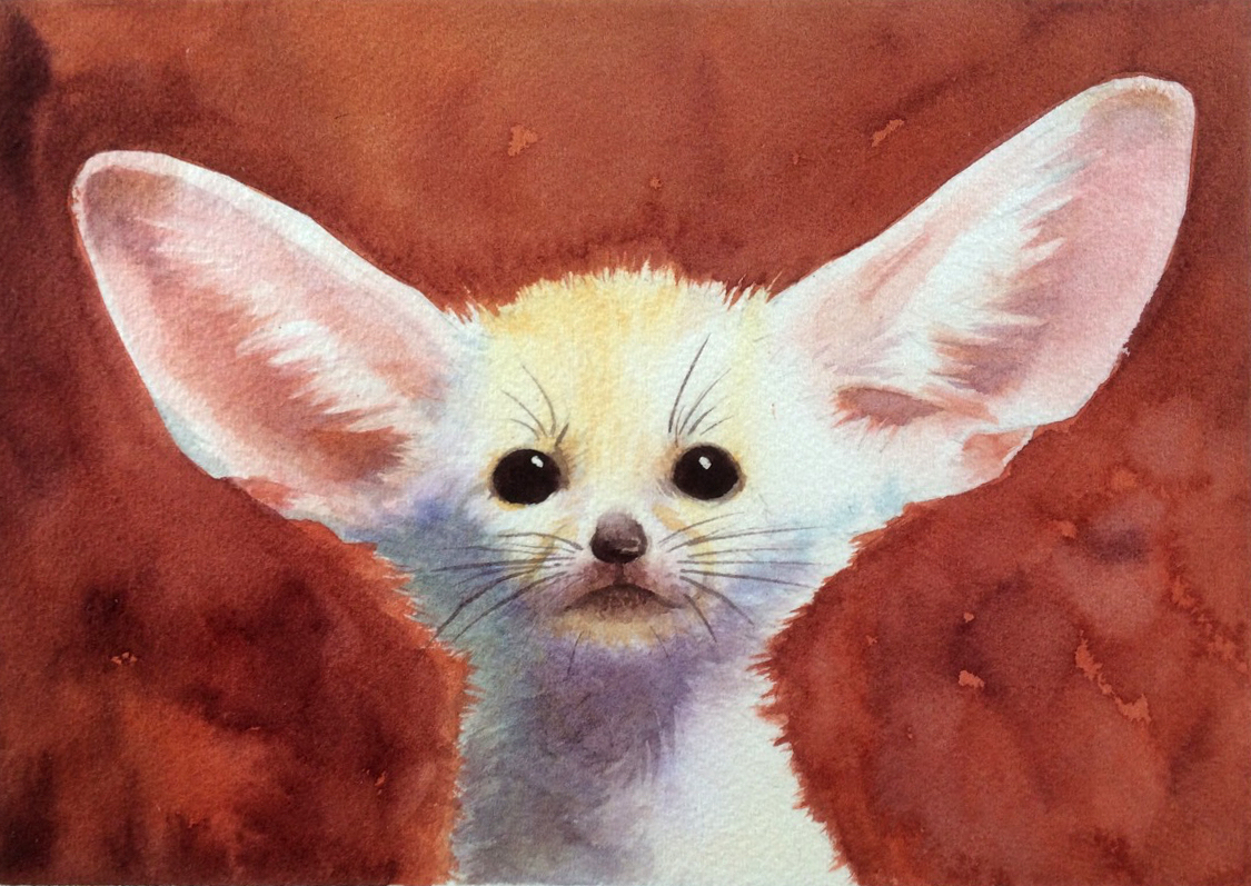 1125x797 Step By Step Painting Ideas Fuzzy Fennec Fox Illustration - Fennec Fox Painting
