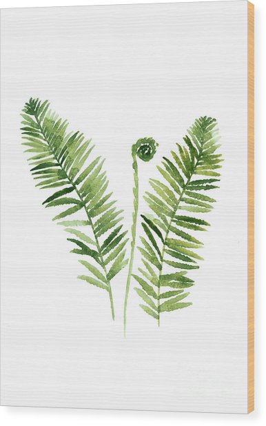 386x618 Fern Watercolor Painting Painting By Joanna Szmerdt - Fern Painting