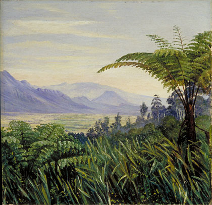 420x406 Kew Marianne North Gallery Painting 704 Tree Fern - Fern Painting