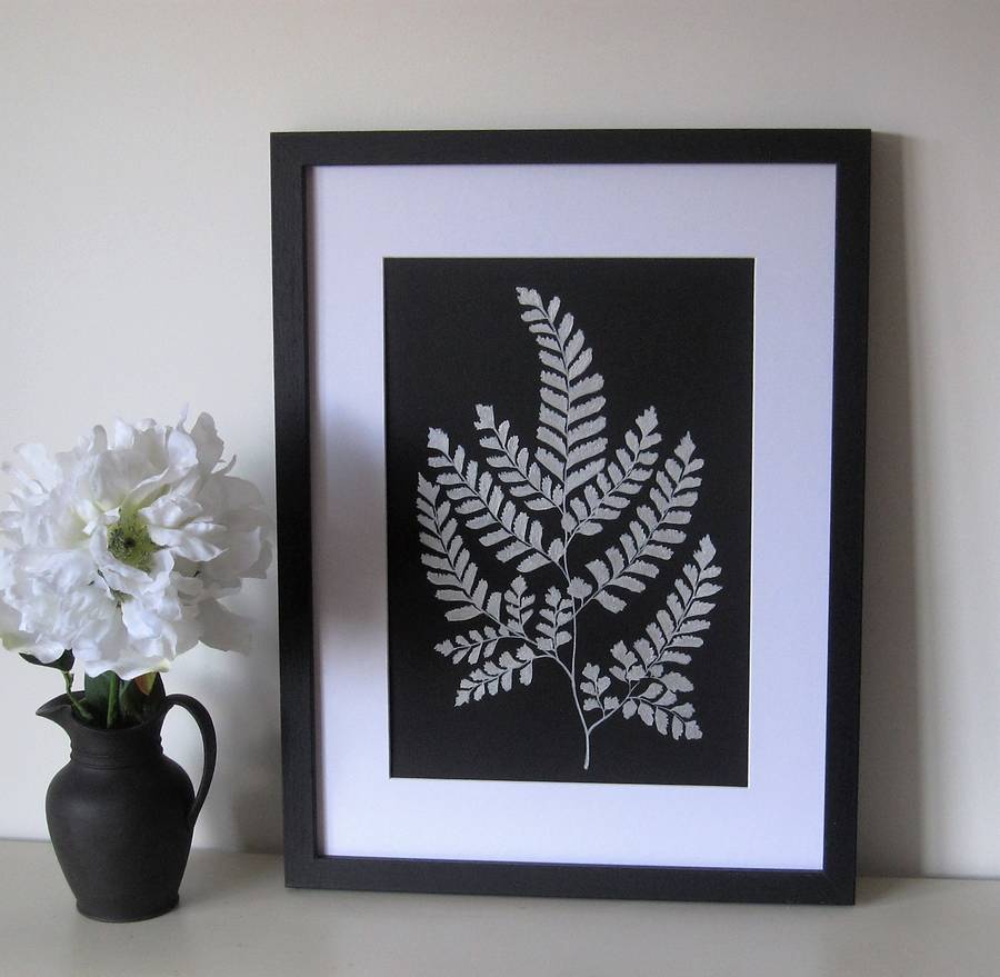 900x879 Framed Silver Fern Painting By Edwina Cooper Designs - Fern Painting