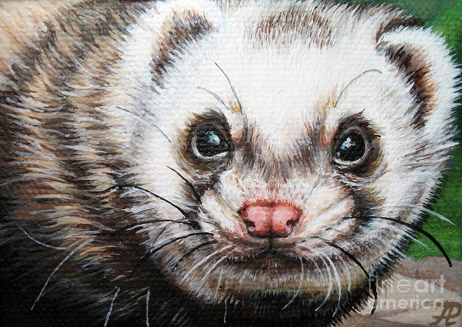900x638 Ferret Painting By Larissa Prince - Ferret Painting