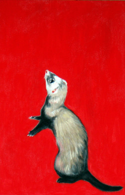 250x390 Ferret Paintings - Ferret Painting