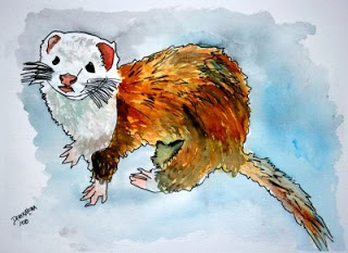 320x233 Watercolor Paintings - Ferret Painting