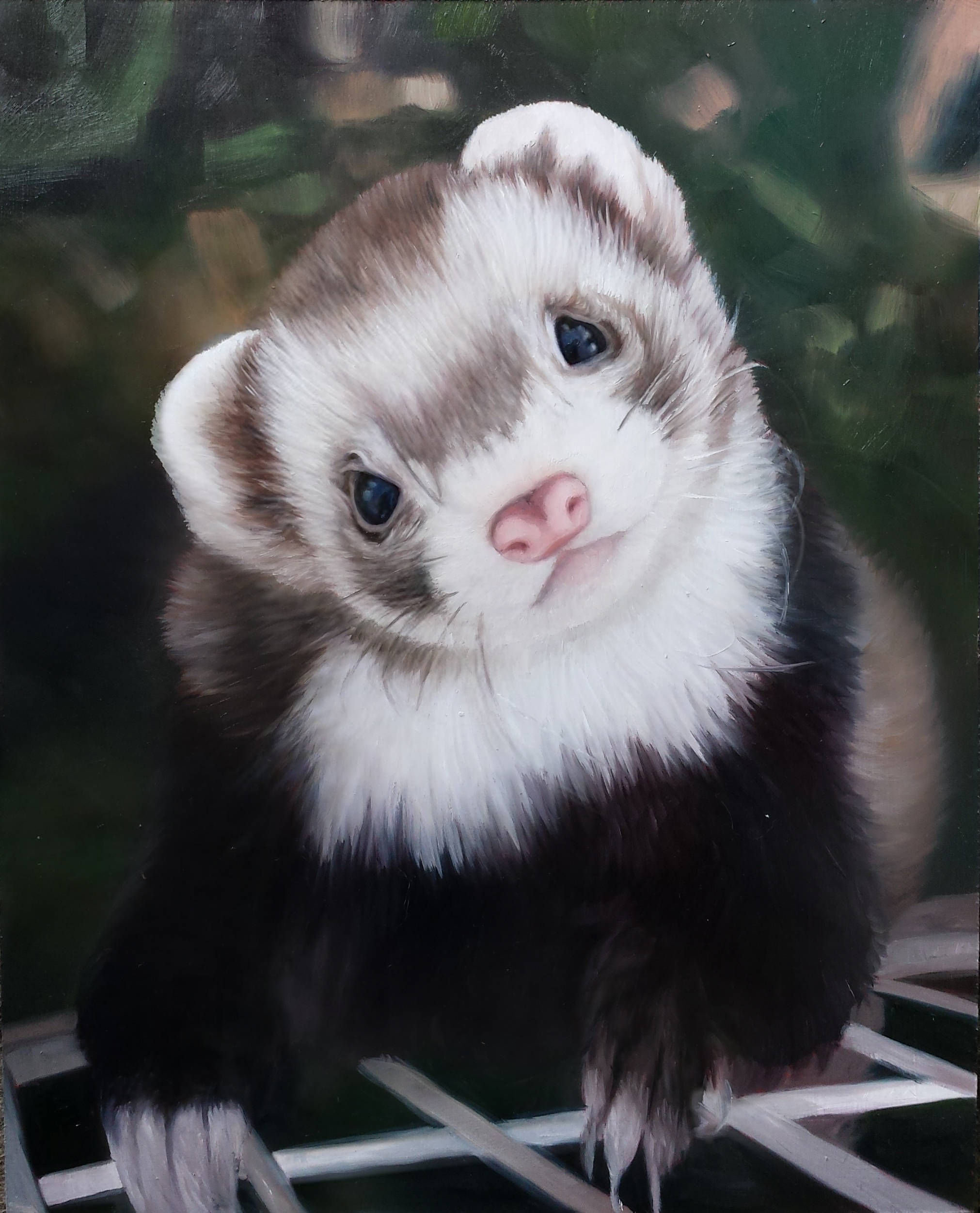 2022x2502 Custom Pet Portrait - Ferret Painting