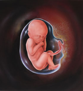 280x306 Student Services - Fetus Painting