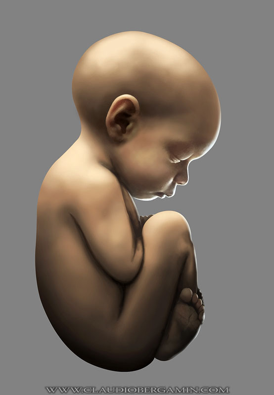 554x800 The Art Of Claudio Bergamin Esp Guitar Design - Fetus Painting