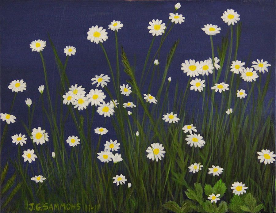 900x695 Field, Painting - Field Of Daisies Painting