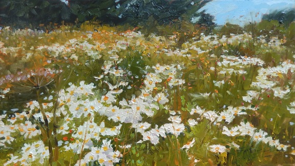 576x324 In Plein Air Field Of Daisies Landscape Painting By Robin Weiss - Field Of Daisies Painting