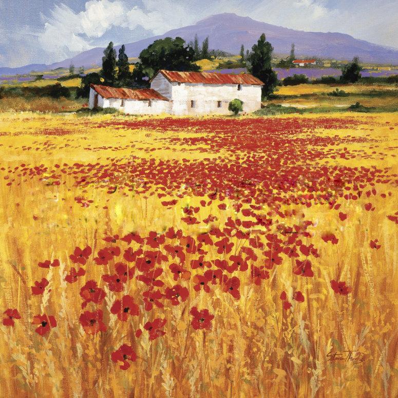 775x775 Steve Thoms Poppies Field Painting Best Paintings For Sale - Field Painting