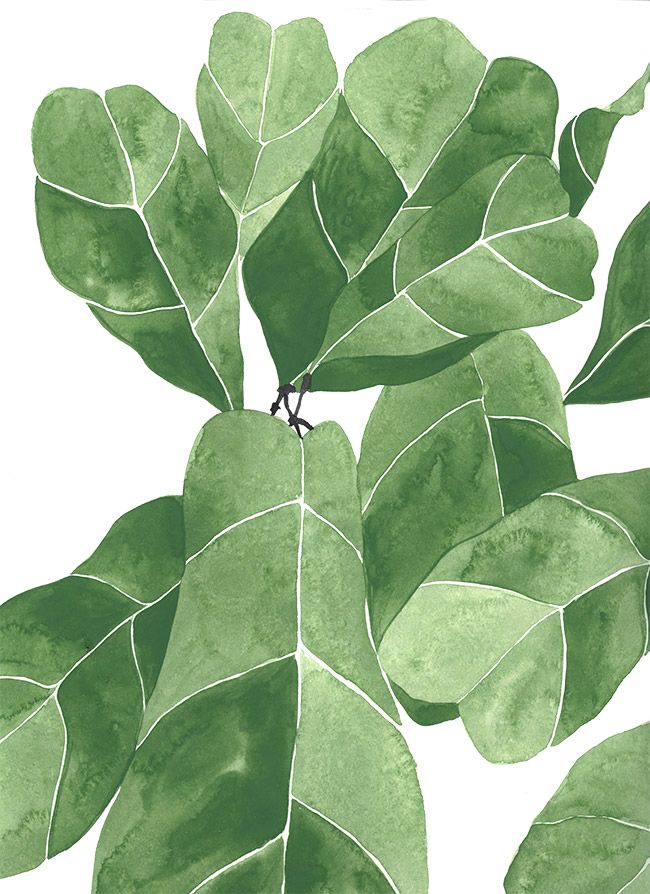 Fig Leaf Painting at Explore collection of Fig