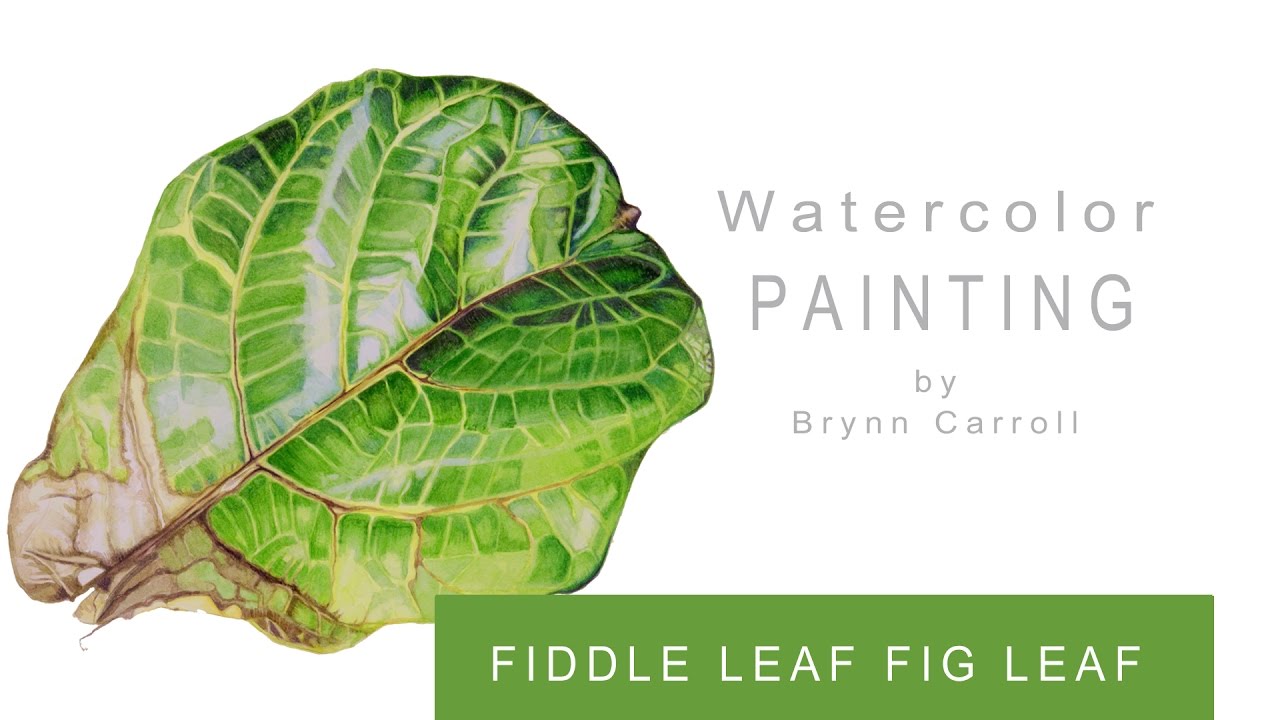 Fig Leaf Painting at Explore collection of Fig