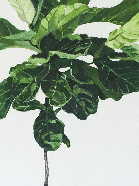 Fig Leaf Painting At PaintingValley Com Explore Collection Of Fig   Fig Leaf Painting 23 