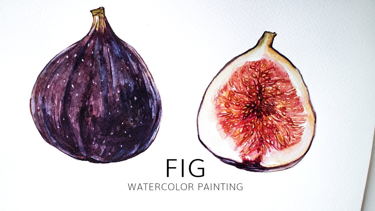1280x720 Fig Watercolor Painting Fruit Illustration Time Lapse - Fig Painting