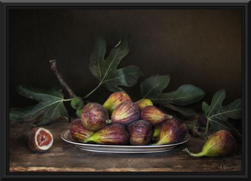 500x361 Figs Paintings - Fig Painting
