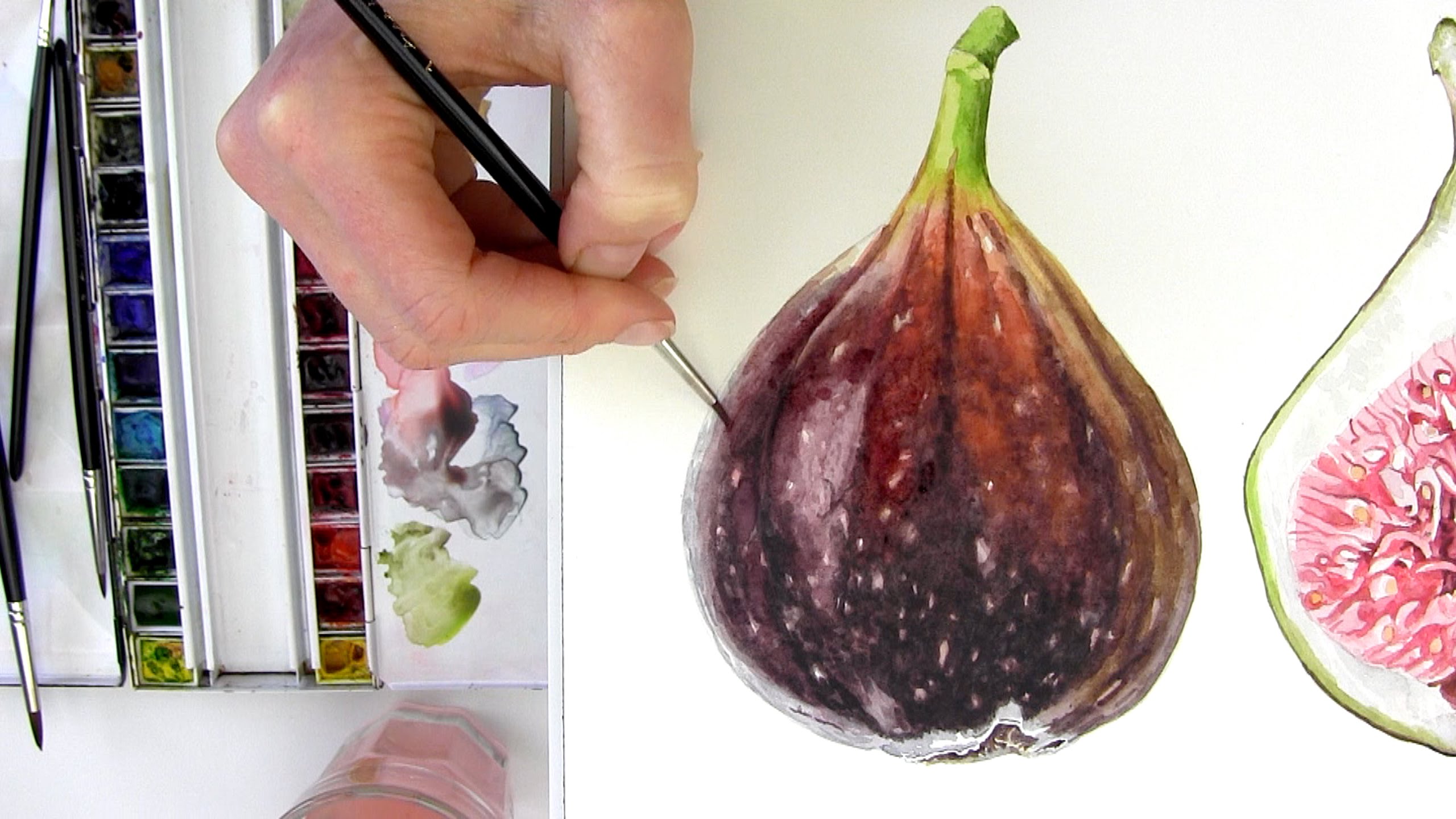 2560x1440 How To Paint A Realistic, Velvety Fig In Watercolour With Anna - Fig Painting