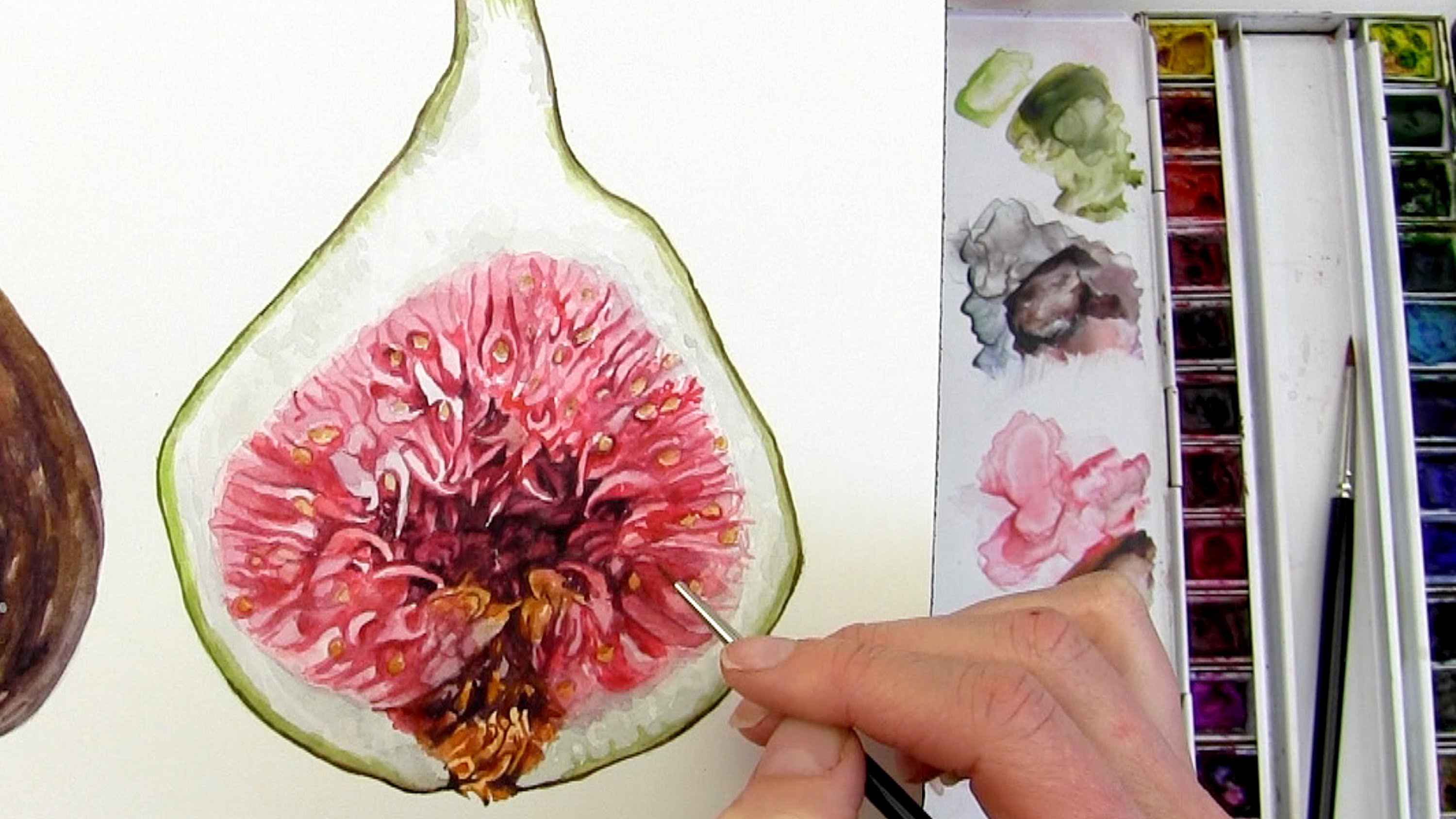 3000x1688 How To Paint The Juicy Inside Of A Fig In Watercolour By Anna - Fig Painting