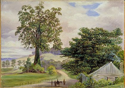 420x296 Fig Tree Village And Its Big Godfather, Illawarra .marianne - Fig Tree Painting