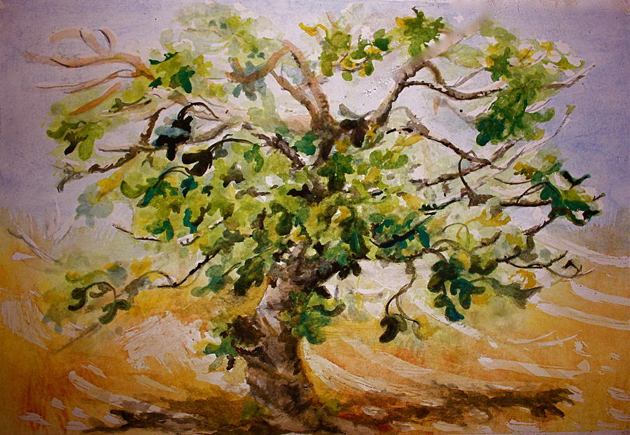900x622 Fig Tree Painting By Yvonne Ayoub - Fig Tree Painting