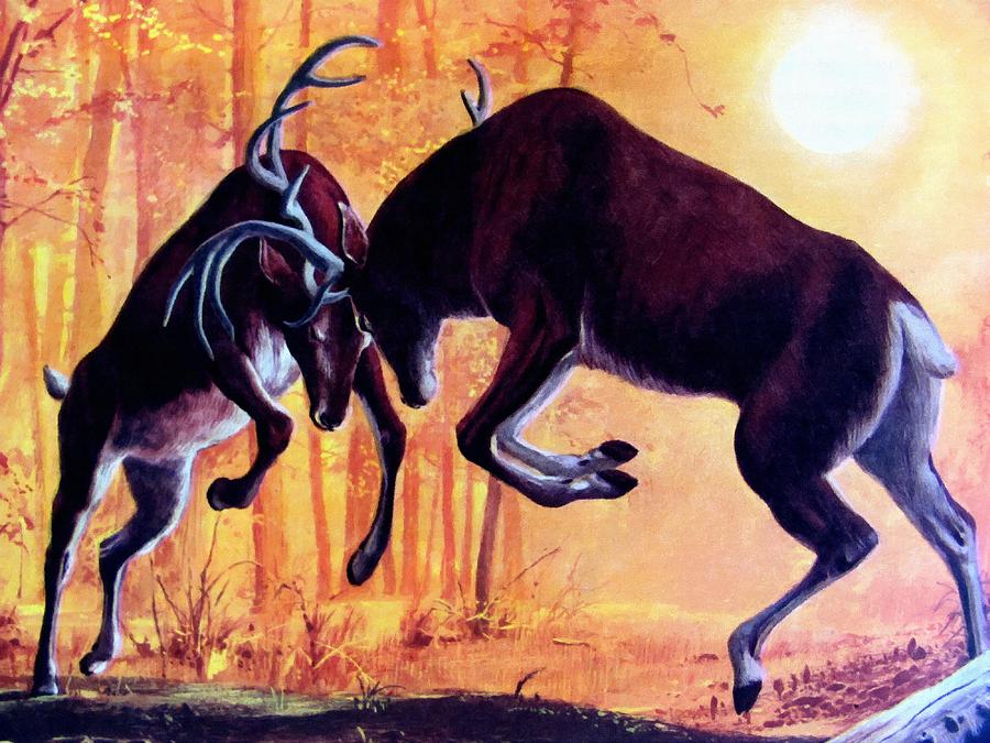 900x675 Deer Fight Painting By Goldy Parazi - Fight Painting