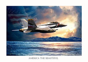 300x212 Fighter Jet Paintings Fine Art America - Fighter Jet Painting