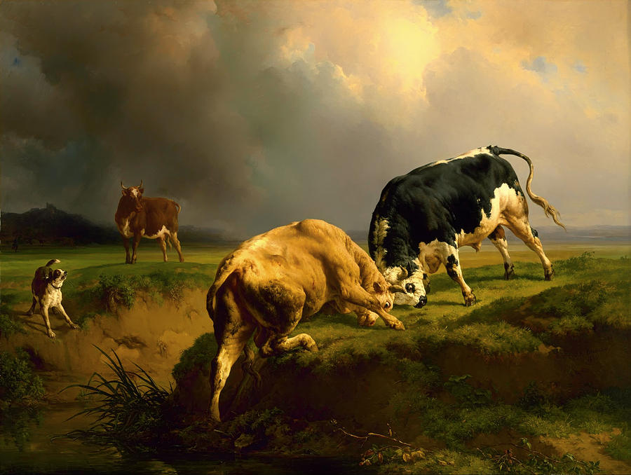 900x678 Bull Fight Painting By Mountain Dreams - Fighting Cows Painting