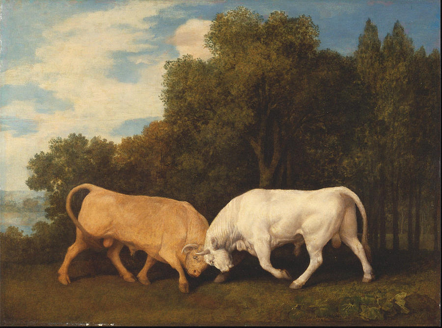 900x669 Bulls Fighting 1786 Painting By George Stubbs - Fighting Cows Painting