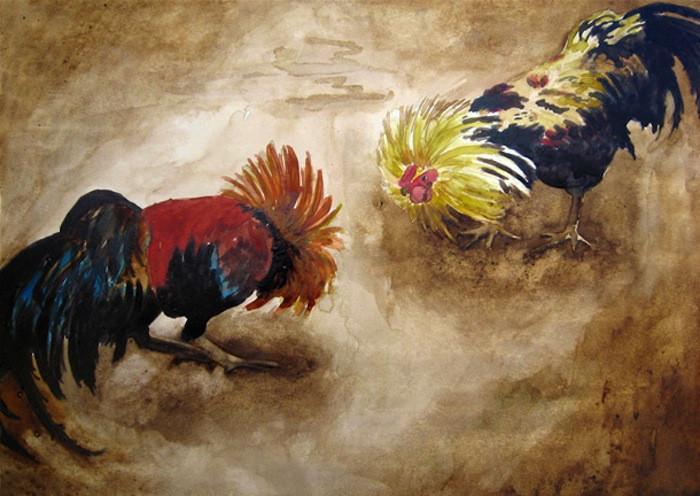 Fighting Roosters. 